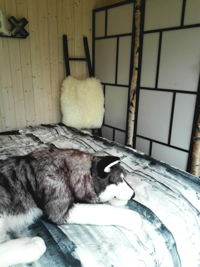 Nature Experience Glamping Inari Zewnętrze zdjęcie